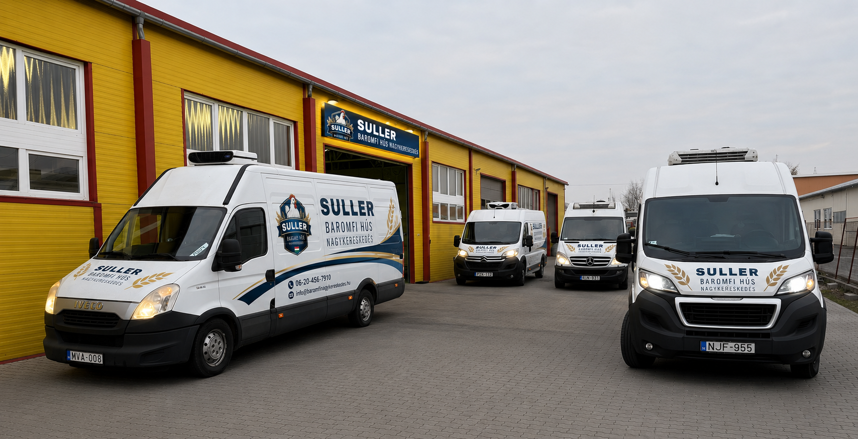 Cegessullermatricasautok.png